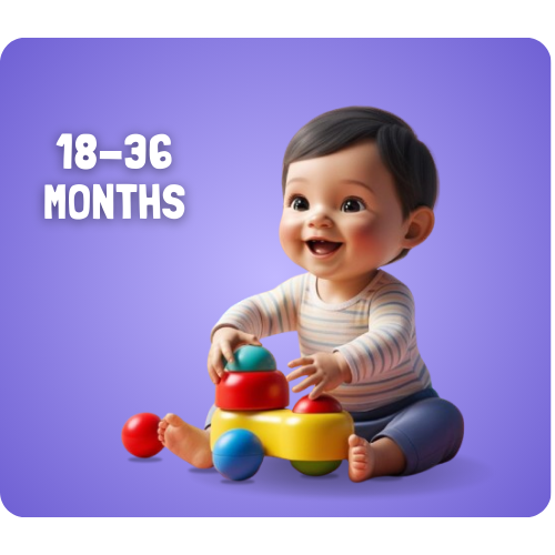18-36 Months